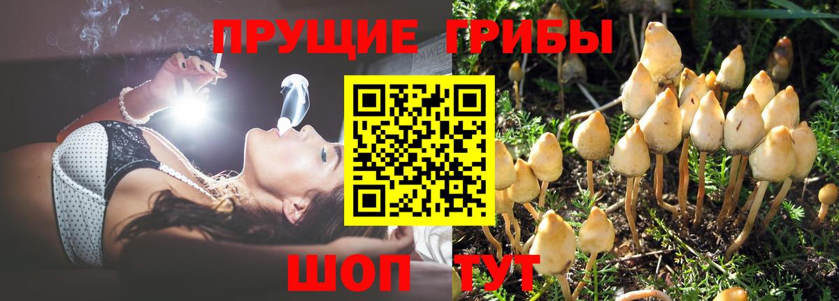 Галлюциногенные грибы Magic Shrooms  Вход с VPN  Галлюциногенные грибы Psilocybine cubensis  Ростов-на-Дону 